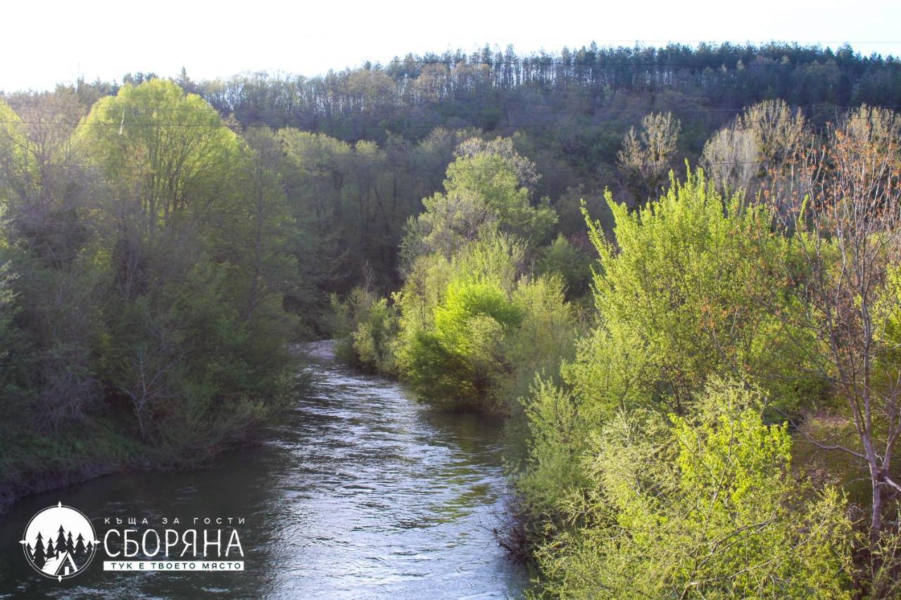 Комплекс Сборяна Gramatikovo ภายนอก รูปภาพ